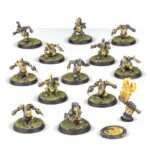 scarcrag snivellers blood bowl team
