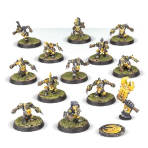 scarcrag snivellers blood bowl team