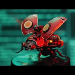 scarabée scout beetle