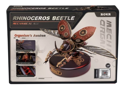 scarabée rhinocéros rhinocéros beetle