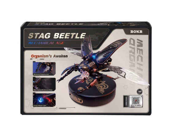 coléoptère stag beetle