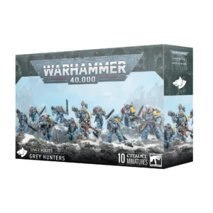 99120101433_SpaceWolvesGreyHuntersSquad2