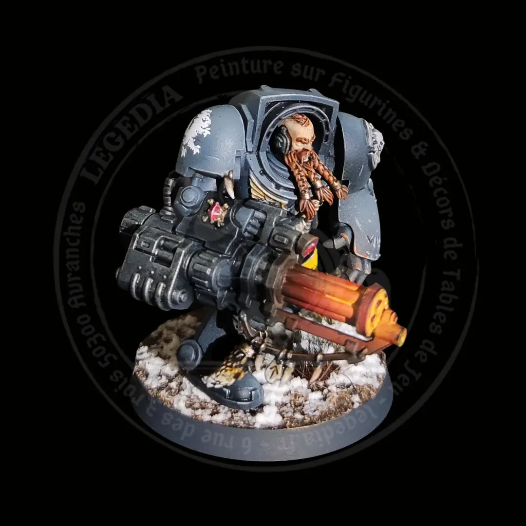 space-wolves-11-2025-1 Peintre professionnel - Peinture sur figurines 